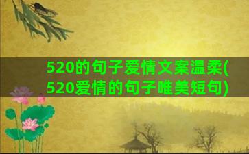 520的句子爱情文案温柔(520爱情的句子唯美短句)