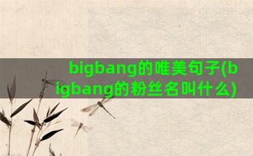 bigbang的唯美句子(bigbang的粉丝名叫什么)