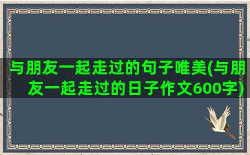 与朋友一起走过的句子唯美(与朋友一起走过的日子作文600字)