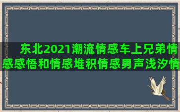 东北2021潮流情感车上兄弟情感感悟和情感堆积情感男声浅汐情感官方情感语录静态书单(2021潮流头像)