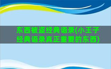 东西被盗经典语录(小王子经典语录真正重要的东西)