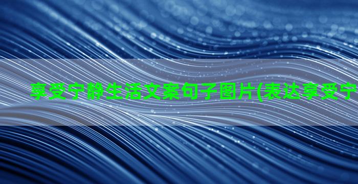 享受宁静生活文案句子图片(表达享受宁静的文案)