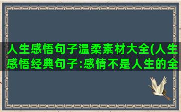 人生感悟句子温柔素材大全(人生感悟经典句子:感情不是人生的全部)