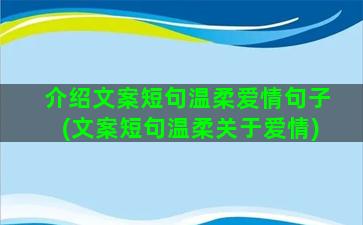 介绍文案短句温柔爱情句子(文案短句温柔关于爱情)