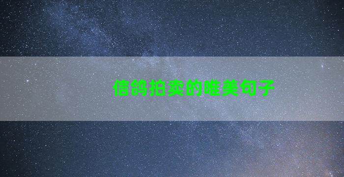 信鸽拍卖的唯美句子