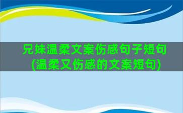 兄妹温柔文案伤感句子短句(温柔又伤感的文案短句)