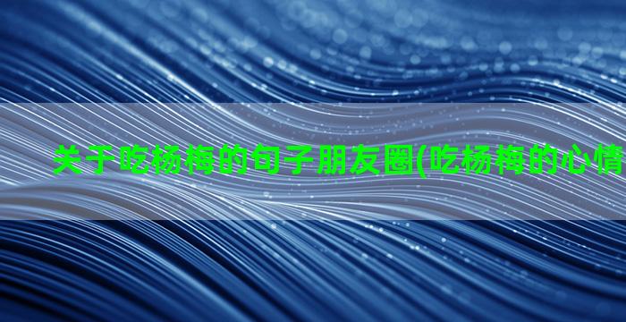 关于吃杨梅的句子朋友圈(吃杨梅的心情唯美句子)