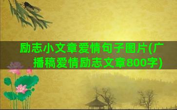 励志小文章爱情句子图片(广播稿爱情励志文章800字)