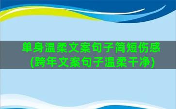 单身温柔文案句子简短伤感(跨年文案句子温柔干净)