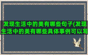 发现生活中的美有哪些句子(发现生活中的美有哪些具体事例可以写)