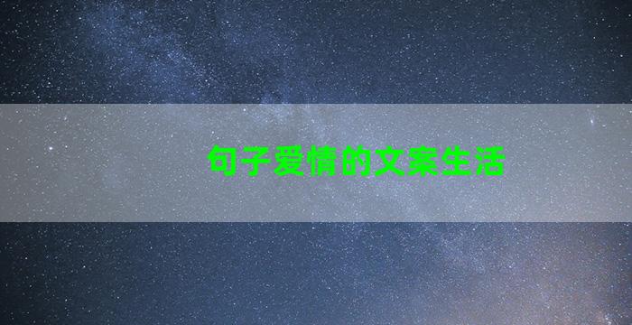 句子爱情的文案生活