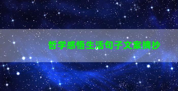 哲学感悟生活句子文案摘抄