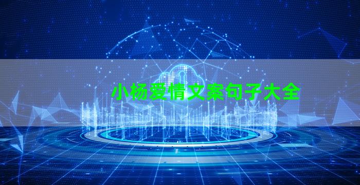 小杨爱情文案句子大全