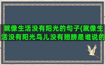 就像生活没有阳光的句子(就像生活没有阳光鸟儿没有翅膀是谁说的)