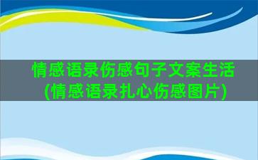 情感语录伤感句子文案生活(情感语录扎心伤感图片)