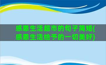 感恩生活超市的句子简短(感恩生活给予的一切美好)