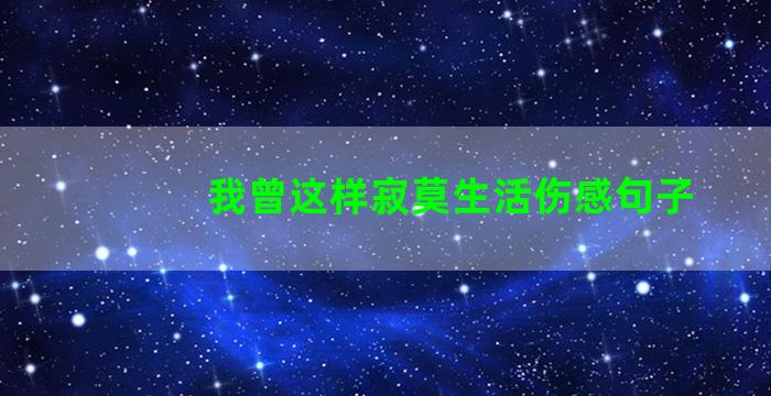 我曾这样寂莫生活伤感句子