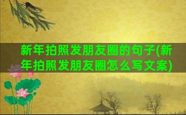 新年拍照发朋友圈的句子(新年拍照发朋友圈怎么写文案)