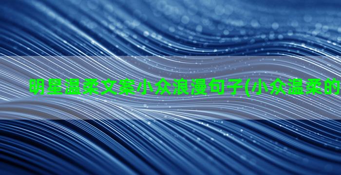 明星温柔文案小众浪漫句子(小众温柔的文案励志)