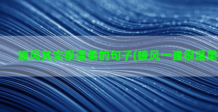 暖风其实很温柔的句子(暖风一直很温柔是什么歌)