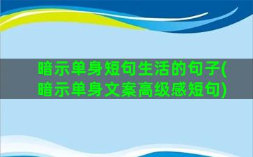 暗示单身短句生活的句子(暗示单身文案高级感短句)