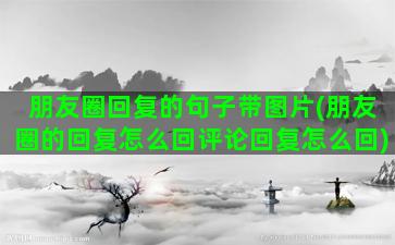 朋友圈回复的句子带图片(朋友圈的回复怎么回评论回复怎么回)