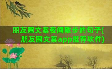 朋友圈文案夜间散步的句子(朋友圈文案app推荐软件)