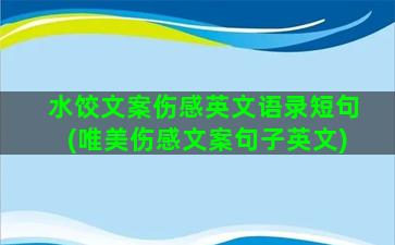 水饺文案伤感英文语录短句(唯美伤感文案句子英文)