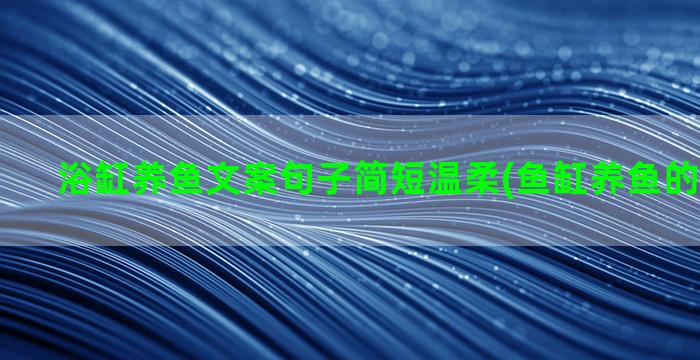 浴缸养鱼文案句子简短温柔(鱼缸养鱼的文案句子)