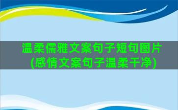 温柔儒雅文案句子短句图片(感情文案句子温柔干净)