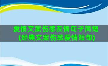 爱情文案伤感友情句子简短(经典文案伤感爱情短句)