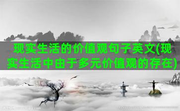 现实生活的价值观句子英文(现实生活中由于多元价值观的存在)