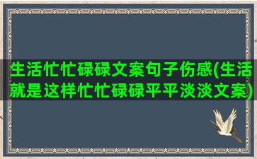 生活忙忙碌碌文案句子伤感(生活就是这样忙忙碌碌平平淡淡文案)