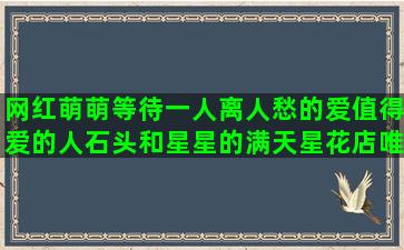 网红萌萌等待一人离人愁的爱值得爱的人石头和星星的满天星花店唯美语录