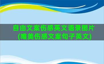 自由文案伤感英文语录图片(唯美伤感文案句子英文)