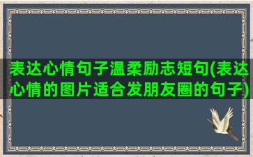 表达心情句子温柔励志短句(表达心情的图片适合发朋友圈的句子)