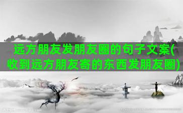 远方朋友发朋友圈的句子文案(收到远方朋友寄的东西发朋友圈)