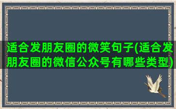 适合发朋友圈的微笑句子(适合发朋友圈的微信公众号有哪些类型)