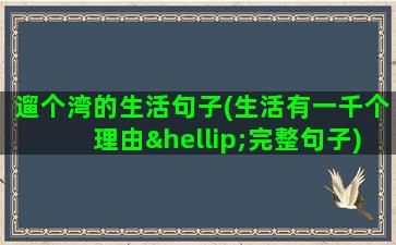 遛个湾的生活句子(生活有一千个理由…完整句子)