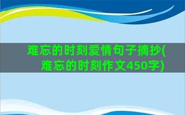 难忘的时刻爱情句子摘抄(难忘的时刻作文450字)