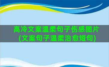 高冷文案温柔句子伤感图片(文案句子温柔治愈短句)